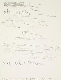 <em>A fog drawing</em>, 1973