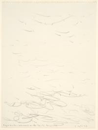 <em>Fog and birds - seaweed on the beach</em>, 1973