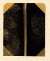 <em>Waterfall</em>, 1964